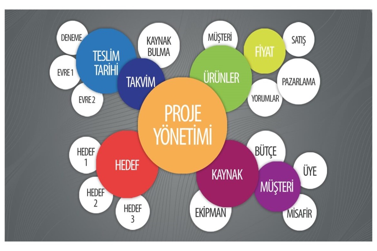 Proje Yönetim Sistemi